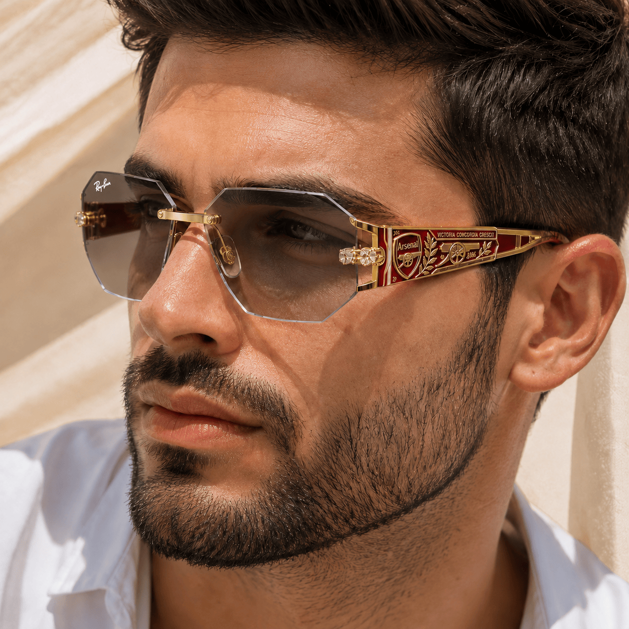 PREMIUM ARS UNISEX SUNGLASSES NPL